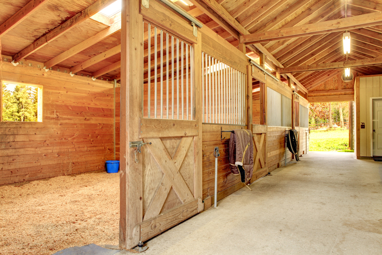 Foaling Stable Aisle