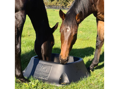 Feed Bins